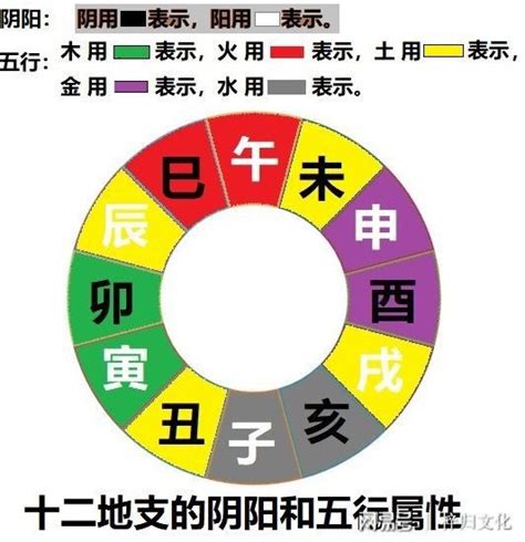 李五行屬性|【李的五行】李姓的五行之謎：火還是木？揭密「李」字五行屬性。